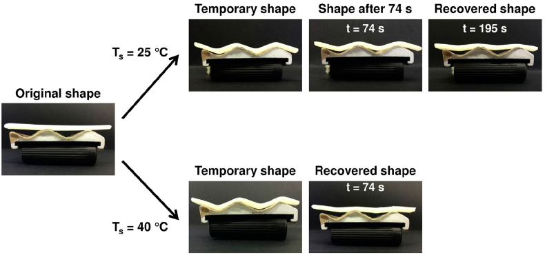 Fig. 12