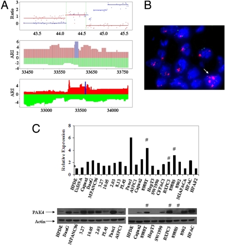 Fig. 4.