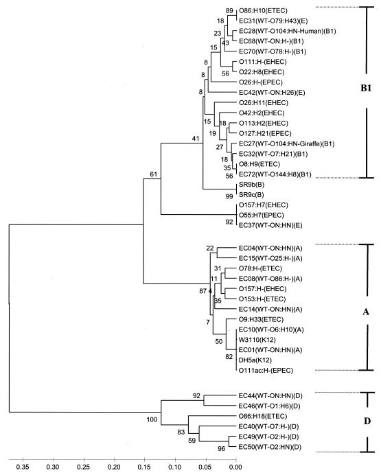 FIG. 4.