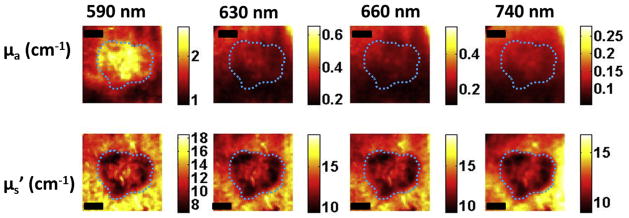 Figure 7