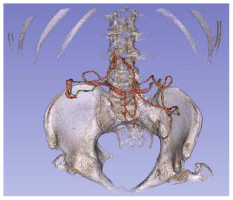 Fig. 4