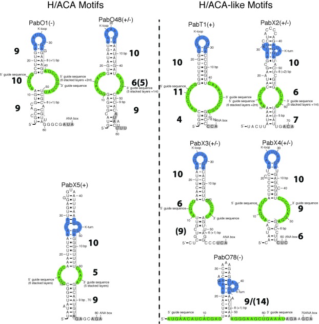 Figure 11.