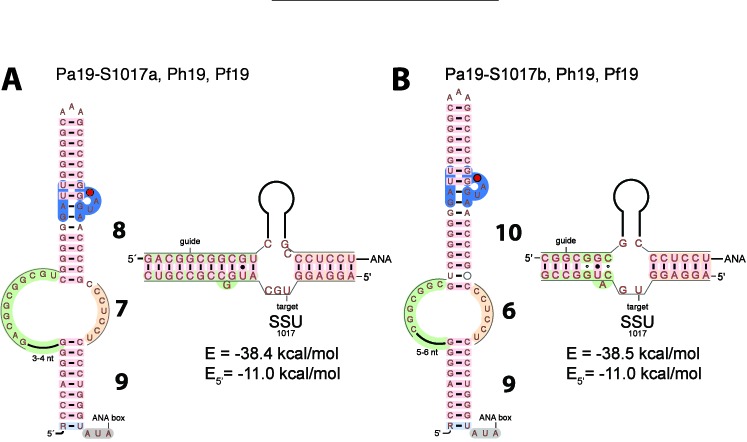 Figure 5.