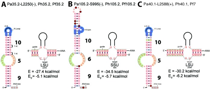 Figure 6.