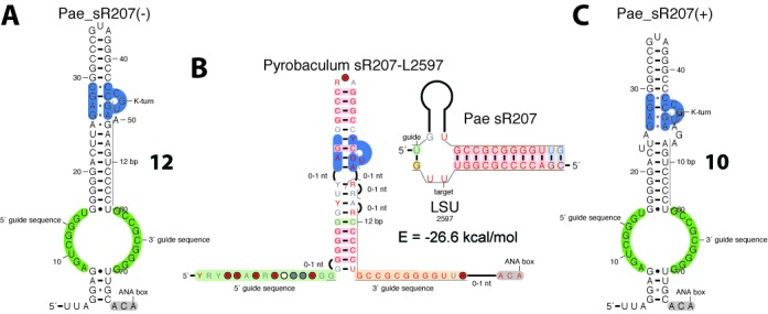 Figure 10.