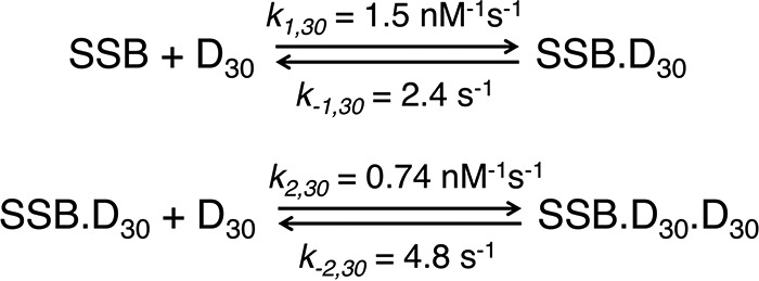 Scheme 1.