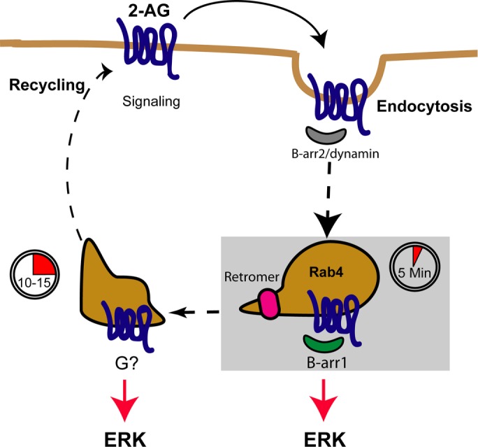 FIGURE 7: