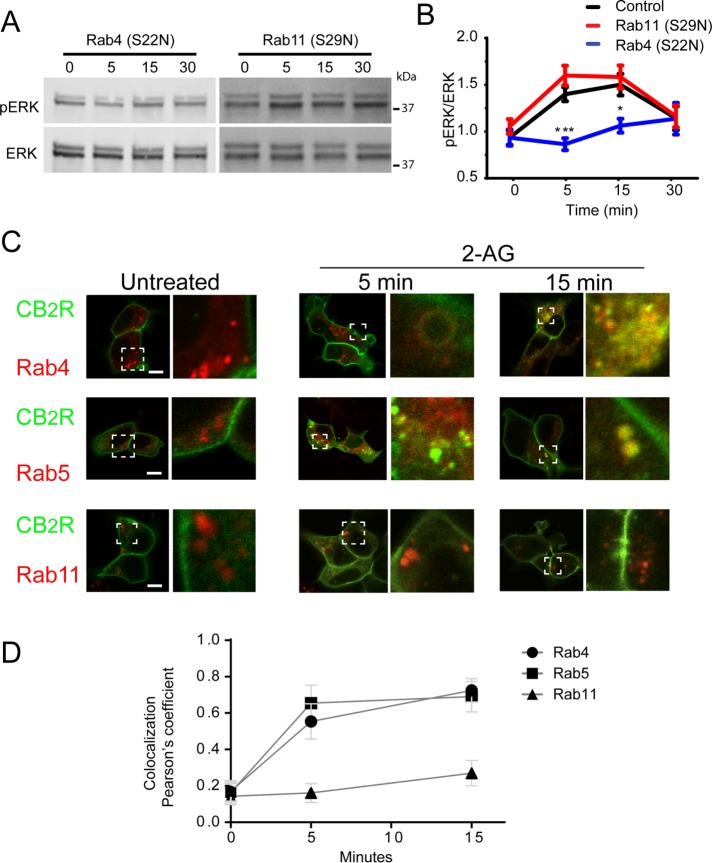 FIGURE 4: