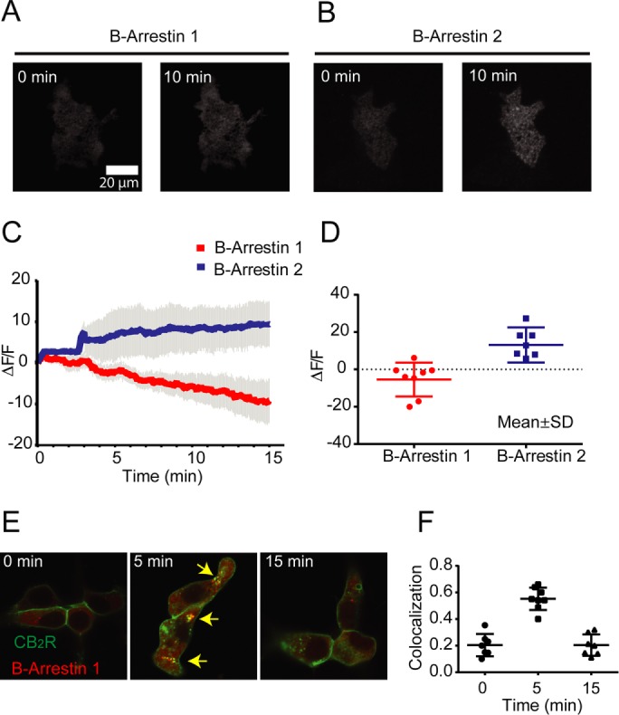 FIGURE 3: