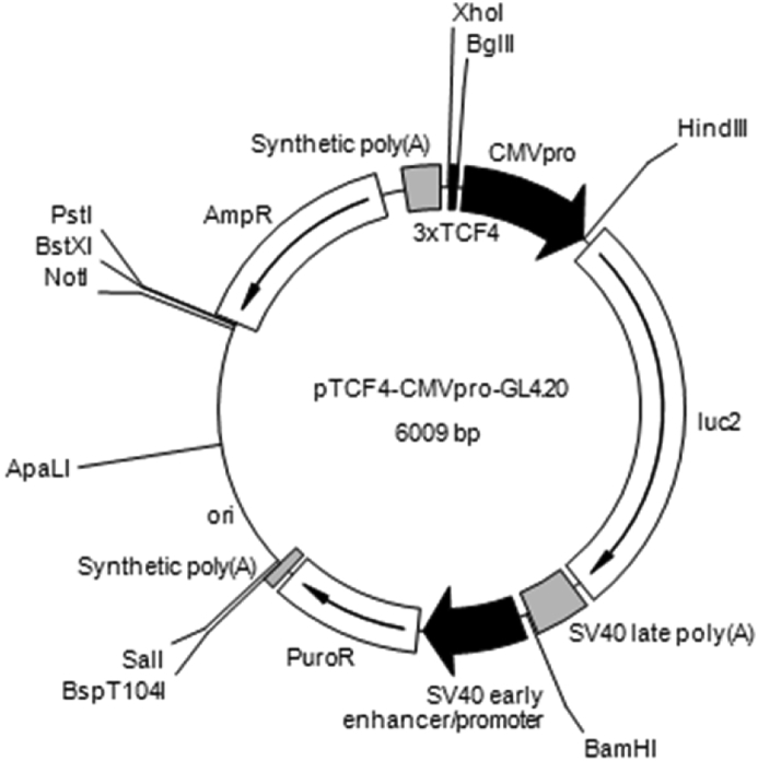 Fig. 1