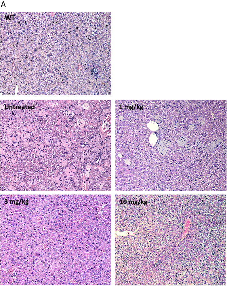 Fig. 8