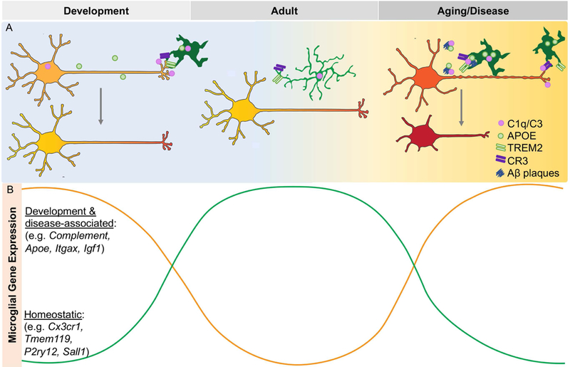 Figure 3.