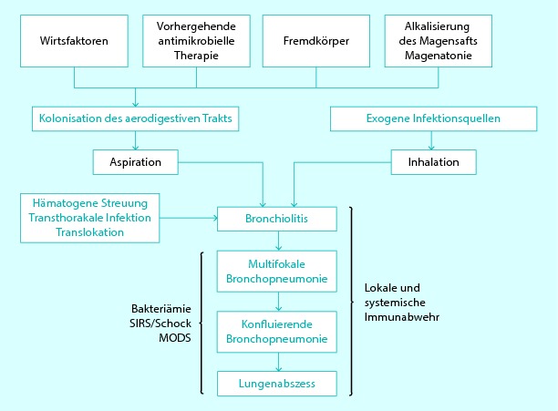 graphic file with name 28639_12_De_60_Fig2_HTML.jpg