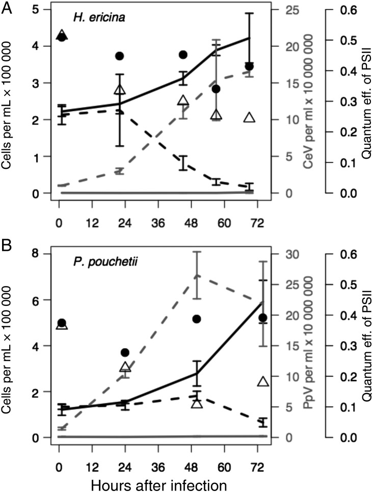 Fig. 2.