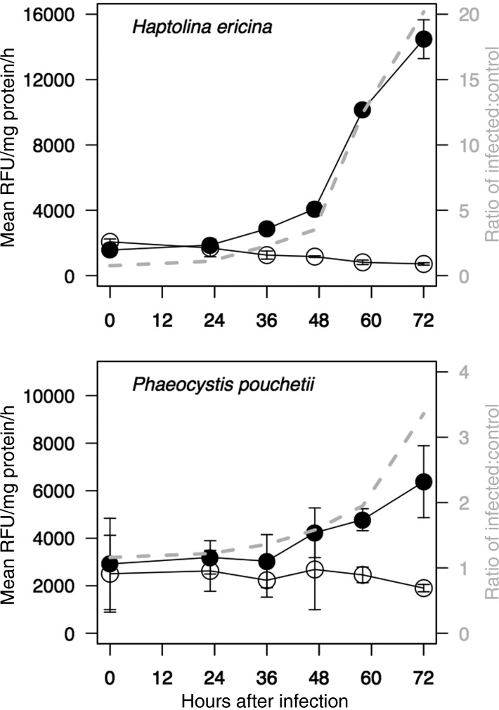 Fig. 4.