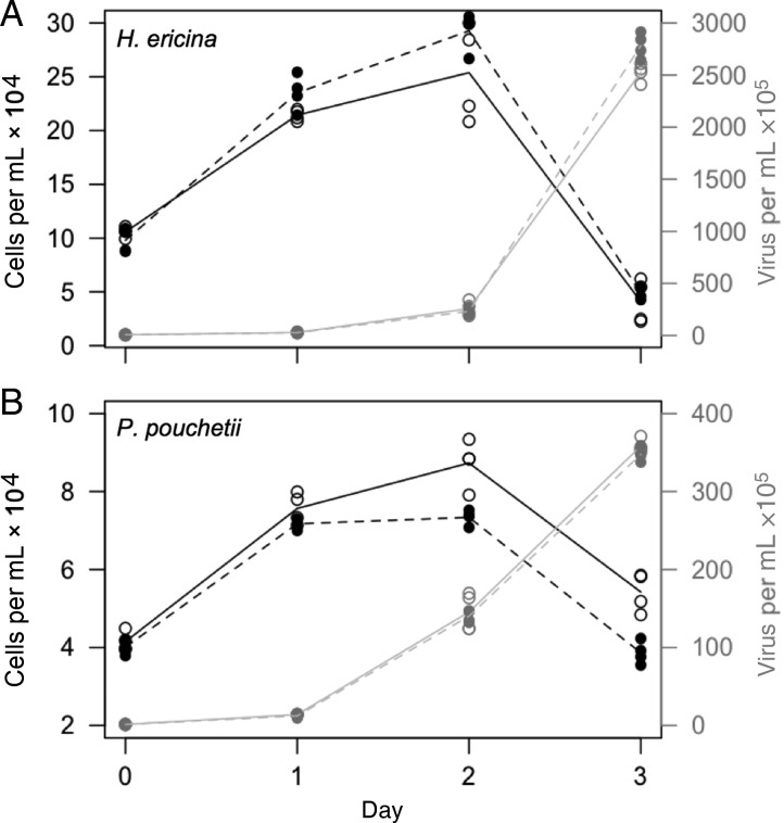 Fig. 5.