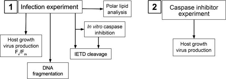 Fig. 1.