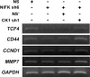 Figure 5—figure supplement 3.