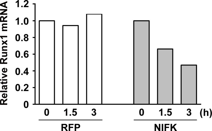 Figure 6—figure supplement 3.