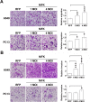 Figure 2—figure supplement 1.