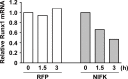 Figure 6—figure supplement 3.