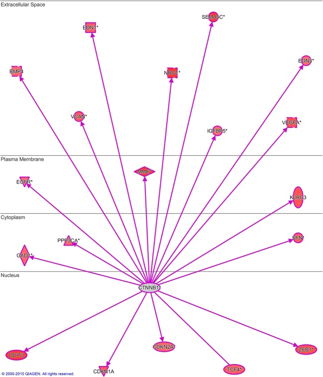 Figure 5—figure supplement 4.