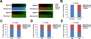 Figure 1—figure supplement 1.