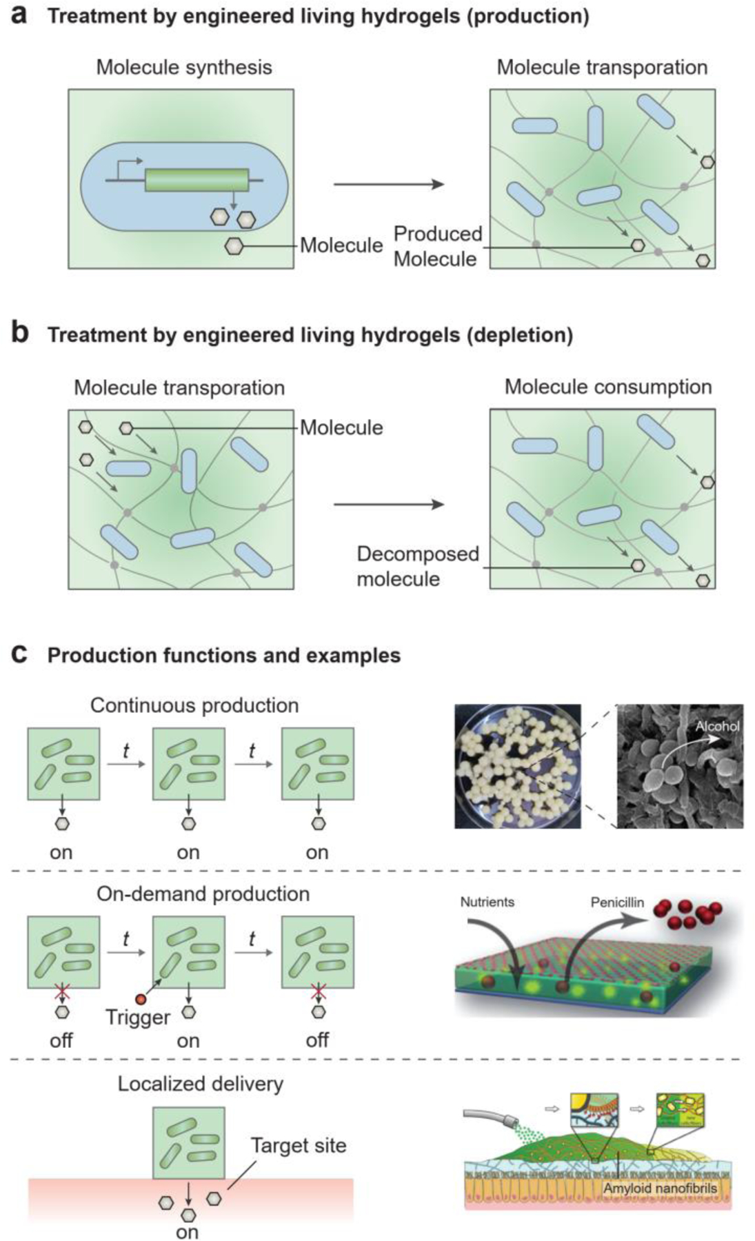 Figure 12.