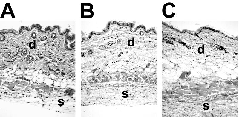 FIG. 6