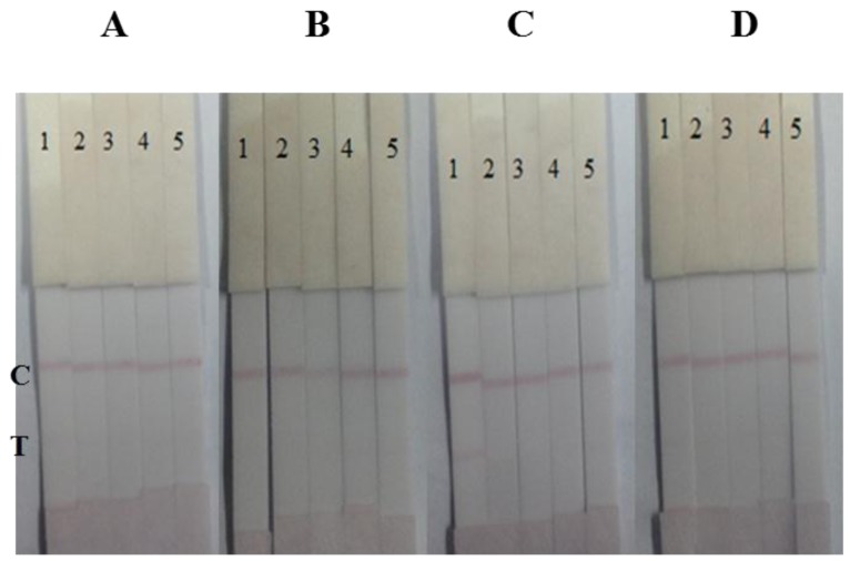 Figure 5.