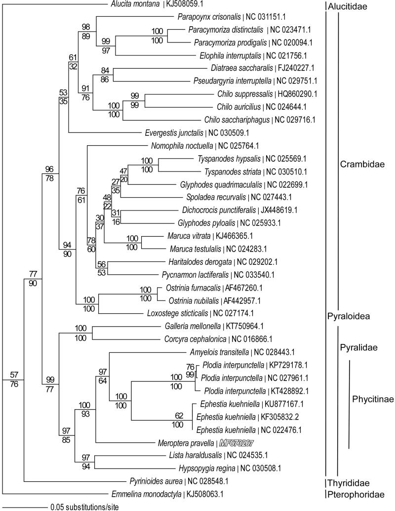 Figure 1.