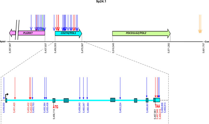 Fig. 3