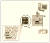 Scheme 5