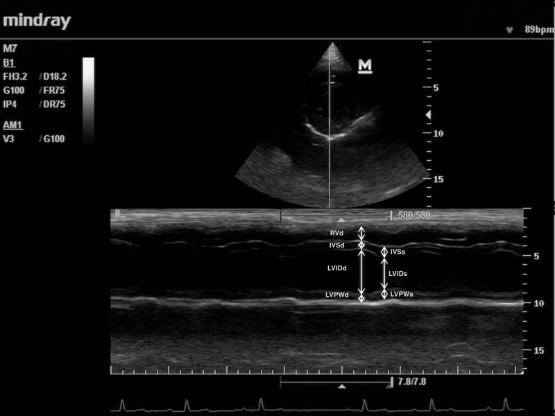 Fig 3