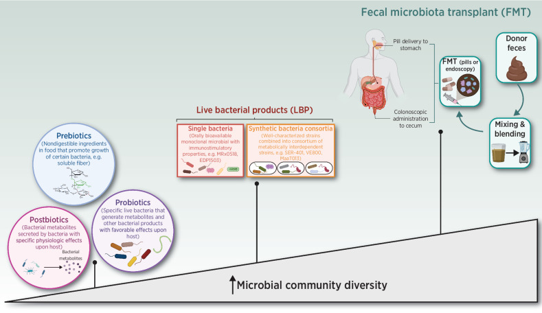 Figure 2. Spectrum of microbiome-specific interventions for the treatment of cancer.