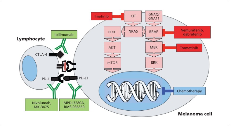 Figure 2: