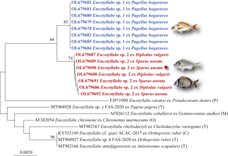 Fig. 4