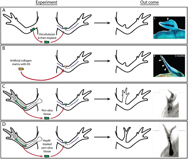 Figure 6: