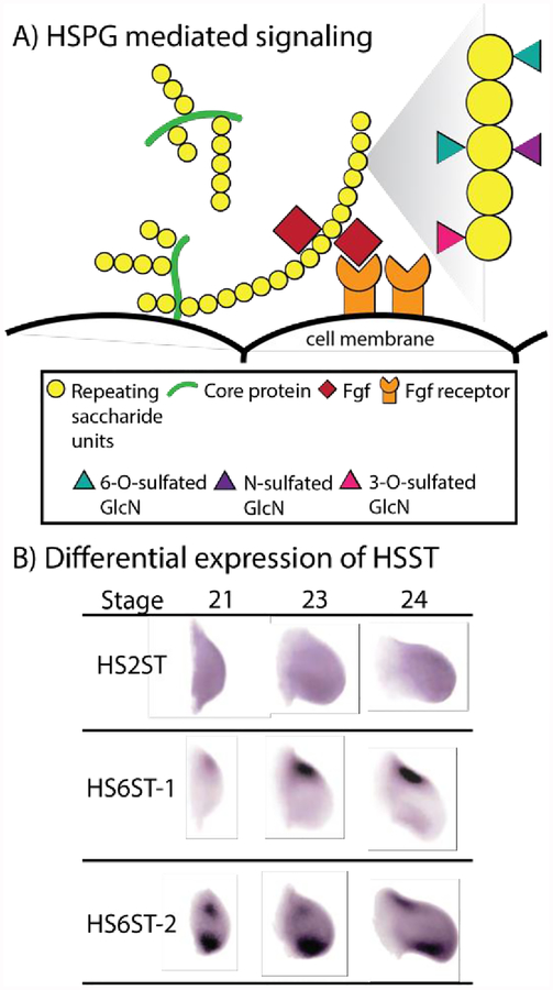 Figure 5: