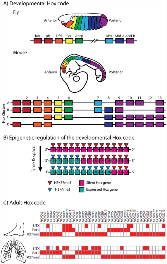 Figure 3: