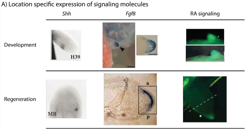 Figure 7: