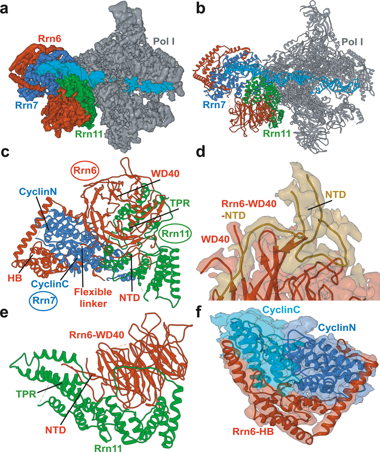 Figure 4.