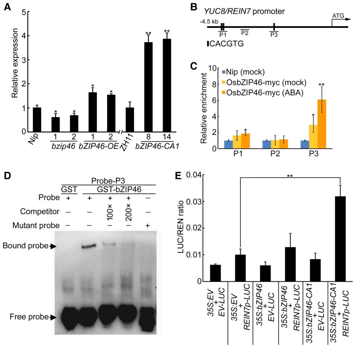 Figure 6