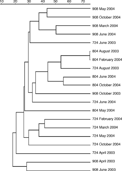 FIG. 1.