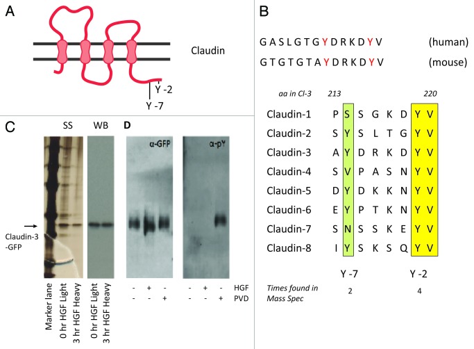 graphic file with name tisb-1-e27425-g5.jpg