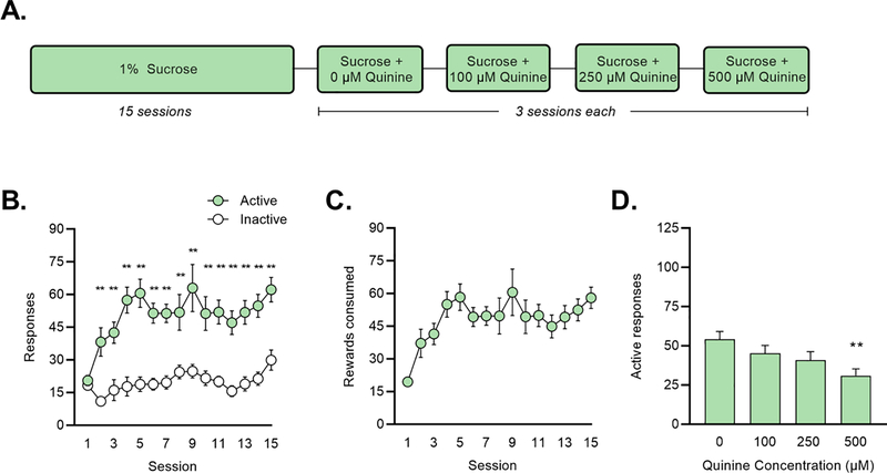 Figure 4: