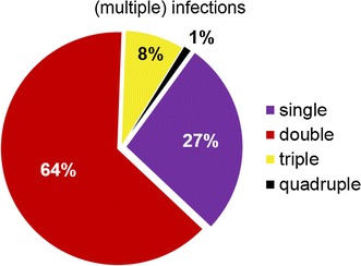 Fig. 2