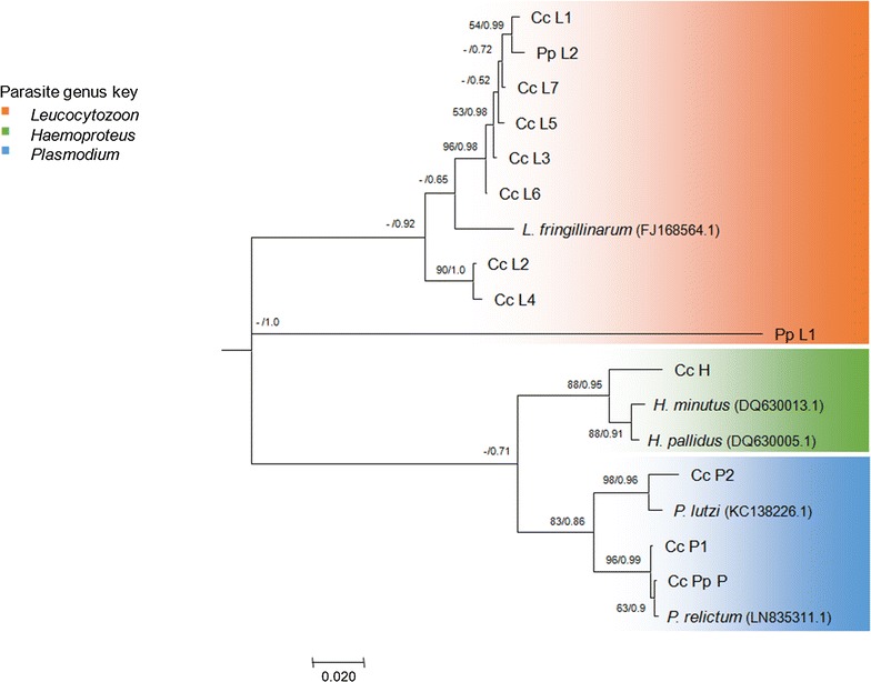 Fig. 4