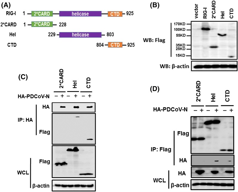 Fig. 4