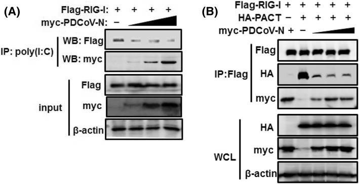 Fig. 5